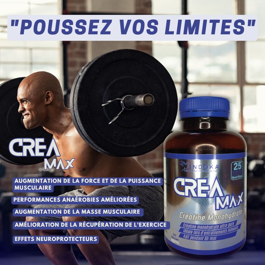 INDOKA CREA MAX Creatine Monohydrate 240 Gélules INDOKA CREA MAX Creatine Monohydrate 240 Gélules – Image 2