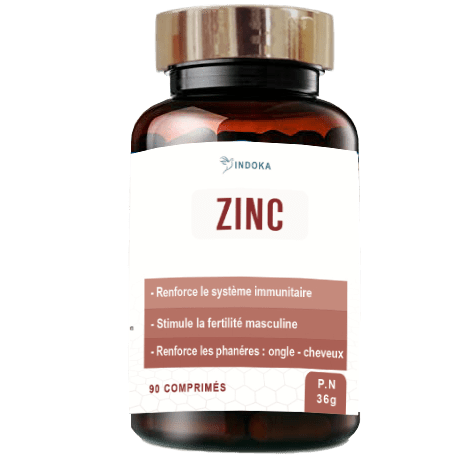 INDOKA ZINC 90 COMPRIMES INDOKA ZINC 90 COMPRIMES
